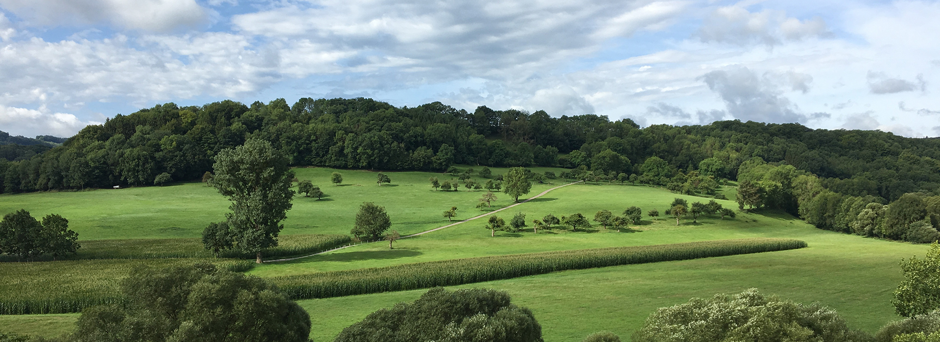 Terrain A Vendre Liege
